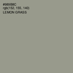 #989B8C - Lemon Grass Color Image